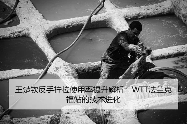 王楚钦反手拧拉使用率提升解析：WTT法兰克福站的技术进化